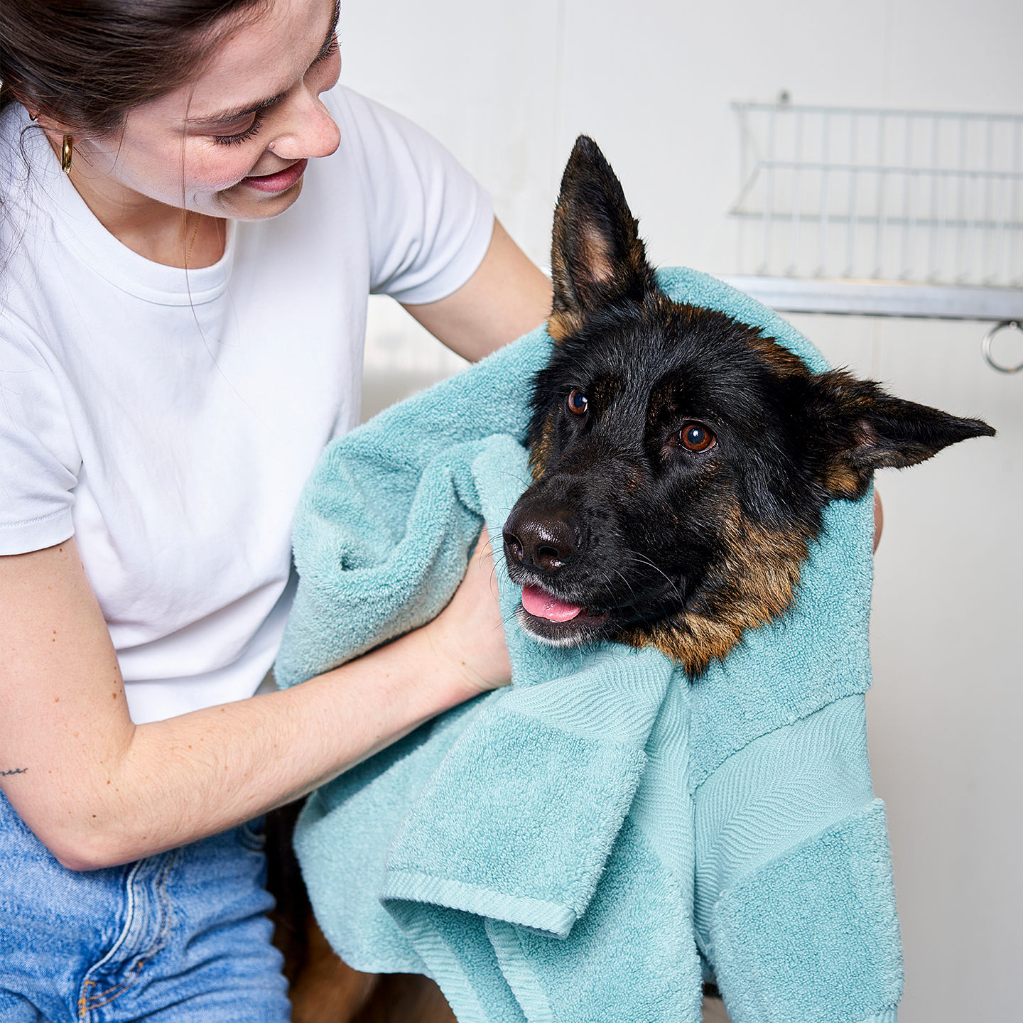 Dog enjoying a bath at Ren's Pets Dog Wash
